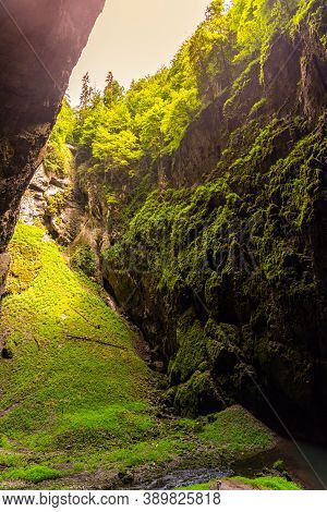 Macocha Abyss - Large Limestone Gorge In Moravian Karst, Czech: Moravsky Kras, Czech Republic. View 