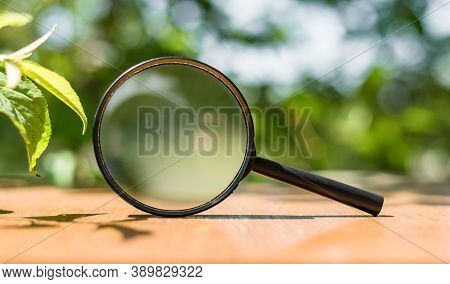 Close Up Single Magnifying Glass With Black Handle, Leaning On The Wooden Table On Outdoors.