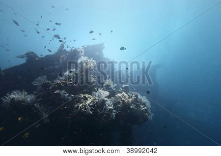 Riprese subacquee di un naufragio USAT libertà a Tulamben, Bali, Indonesia