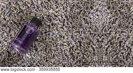 Lavender Essential Oil Glass Bottle With Dried Lavender Flowers - Lavandula