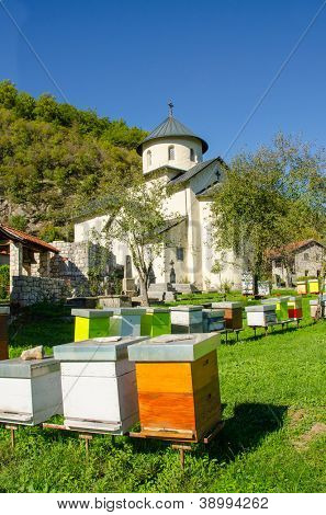 Moraca monastery, Montenegro - apiary