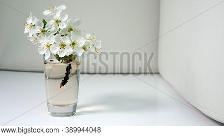 Chery Flowers In A Glass Of Water On A White Background.