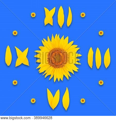 Sunflower Clock Dial On Blue Background, Isolate, Numbers 3, 6, 9, 12 Are Laid Out From Sunflower Pe