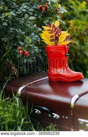 Red Kids Gumboots With Yeallow Leaves Inside Stay On Vintage Suitcase. Autumn Coziness With Foliage 