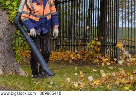 A Utility Worker In A Special Uniform Uses A Blower To Remove Fallen Leaves From A Park Lawn. Yellow