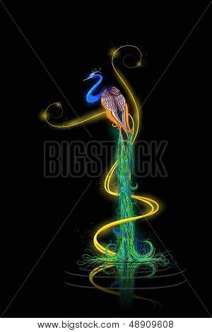 Colorful Decorated Peacock