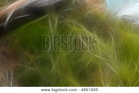 Fractal Space