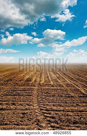 Plowed Land