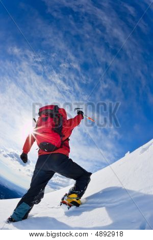 Bjergbestiger