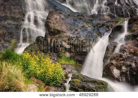 Todtnauer Waterfalls with yellow flowers, Black Forest, Germany