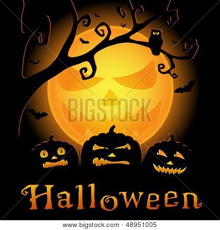 Halloween card with pumpkins, moon and owl