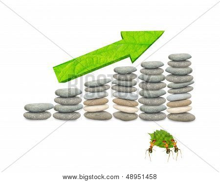 The Ant's Harvest