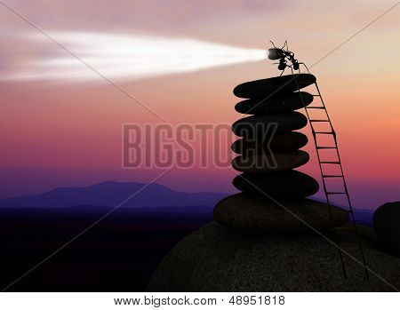 Ants Building