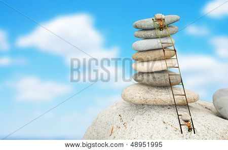 Ants Building