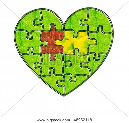 Jigsaw