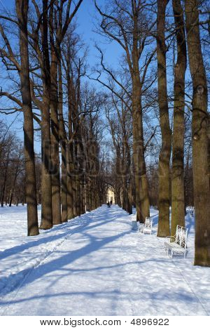 Winter Pfad in Tzarskoe selo