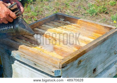 Beekeeper At Work