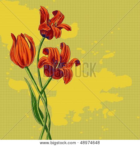 bouquet of tulips