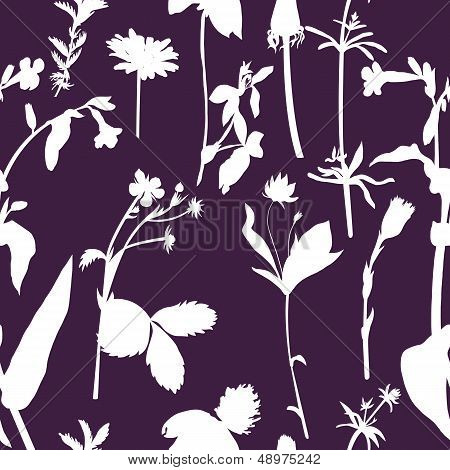 Herbal seamless pattern