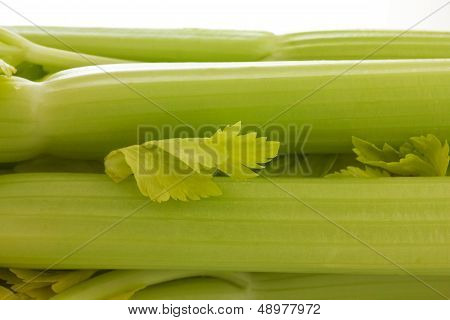 Celery stems close up with white bacground