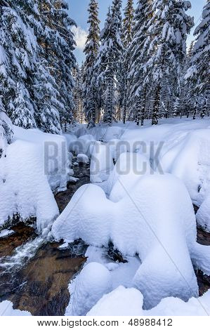 snowy landscape, vertical