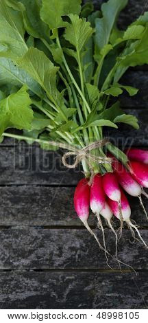 Bunch Of Delicious Radishes