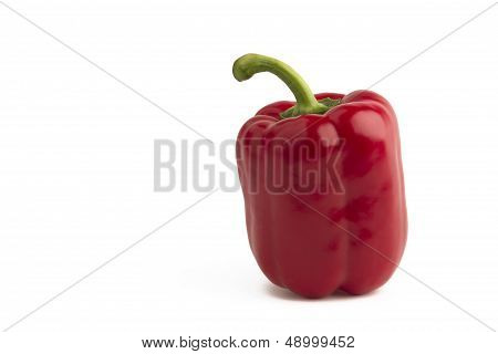 Red Pepper