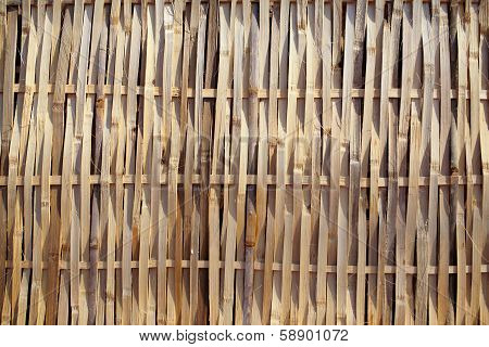 Old Bamboo Background