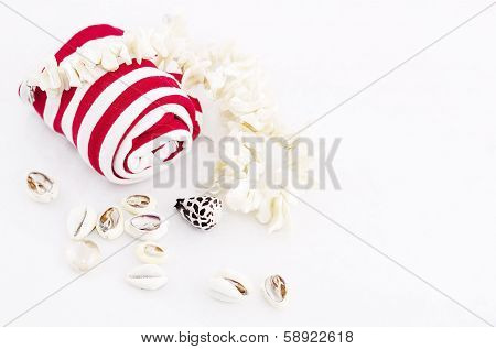 Nautical theme with shell