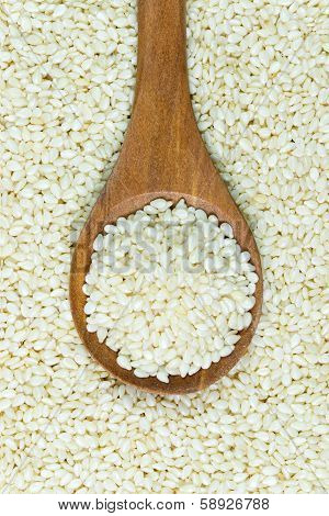 White Sesame