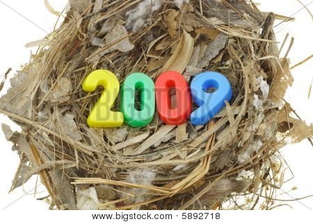 neuer Anfang 2009
