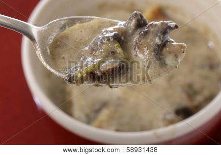 Homemade cream of mushroom soup on a spoon, in front of a soupbowl.