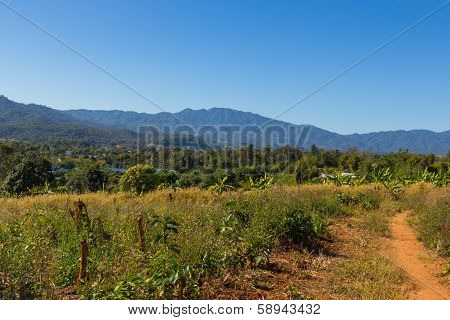 Landscape Of Countryside View At Waing Haeng, Thailand