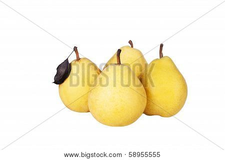 Four Yellow Pears