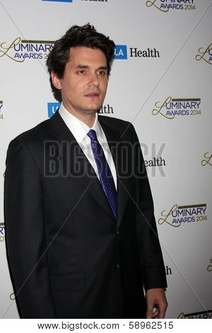 LOS ANGELES - JAN 22:  John Mayer at the UCLA Head and Neck Surgery Luminary Awards at Beverly Wilshire Hotel on January 22, 2014 in Beverly Hills, CA