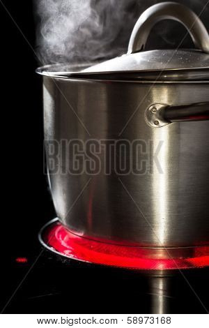 Slowfood - Lovely homemade dish being prepared in steaming pot on kitchen stove