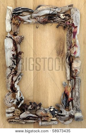 Seaweed and driftwood abstract border over oak wood background.