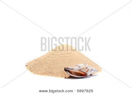 Piccolo gruppo di sabbia