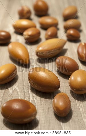 Seeds Of Argan A Close Up On Wood