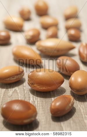 Seeds Of Argan A Close Up On Wood