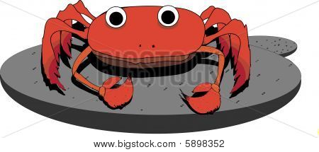 crabe
