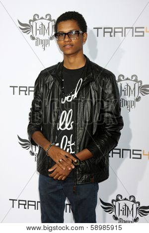 LOS ANGELES - JAN 23:  Cody Wise at the Annual Trans4m Benefit Concert at Avalon on January 23, 2014 in Los Angeles, CA