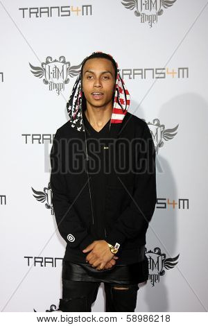 LOS ANGELES - JAN 23:  Sebastian Mikael at the Annual Trans4m Benefit Concert at Avalon on January 23, 2014 in Los Angeles, CA