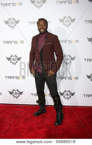 LOS ANGELES - JAN 23:  will.i.am at the Annual Trans4m Benefit Concert at Avalon on January 23, 2014 in Los Angeles, CA