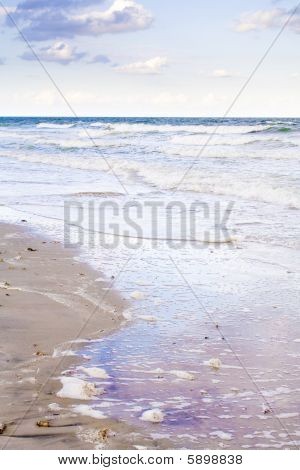 열 대 해변