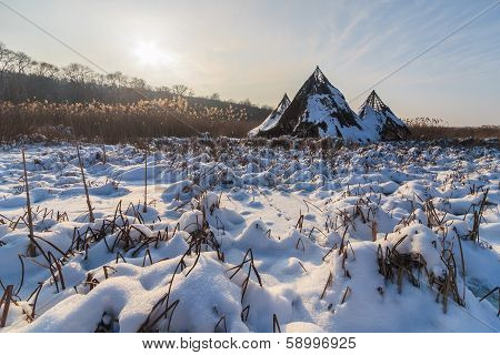 Comana Lake In Winter