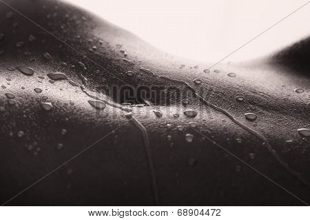 Bodyscape Of A Nude Woman With Wet Stomach And Back Lighting Artistic Conversion