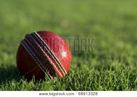 Red Cricket Ball On Green Grass