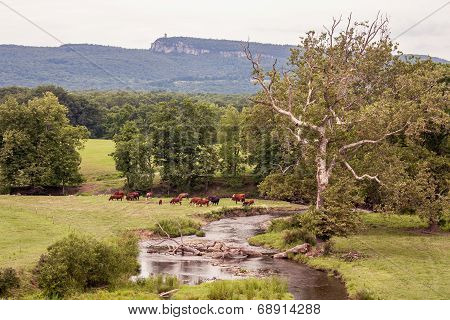 New Paltz, Ny