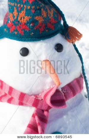 Snowman Portrait